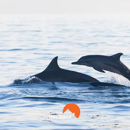 #041 Future House By Holidays Albufeira