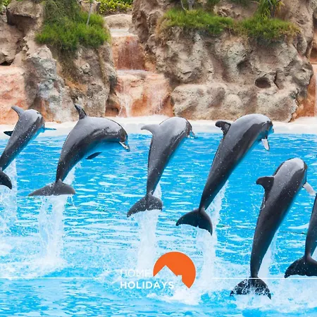 #041 Future House By Holidays